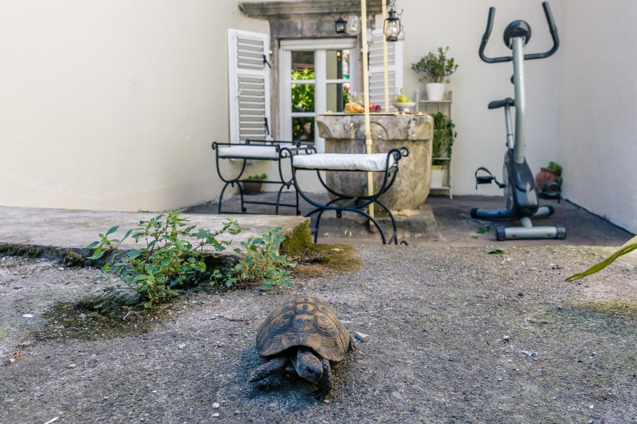 Perfetto Perasto Residence エクステリア 写真